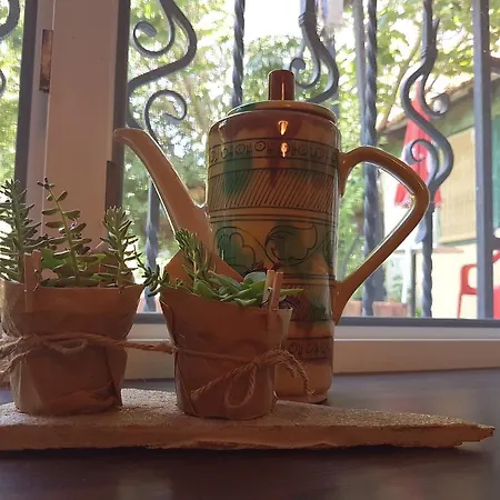 بيت ضيافة Grandmother's House