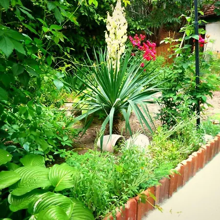Grandmother's House بيت ضيافة *